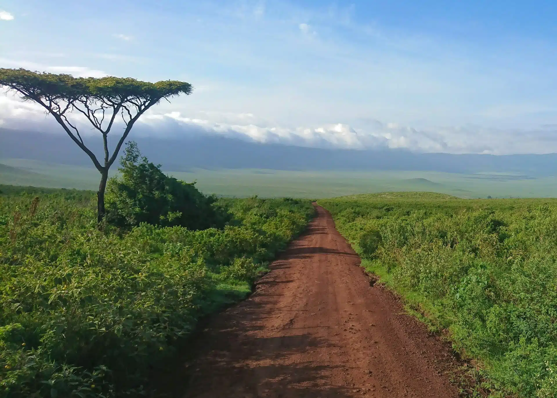 Une immersion en Tanzanie avec Charly